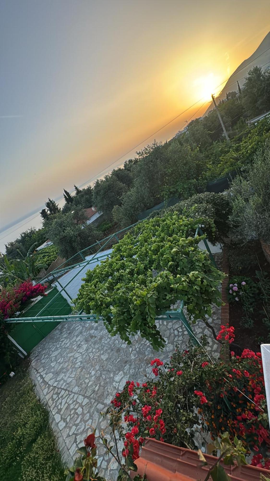 Hotell Xheko 3*